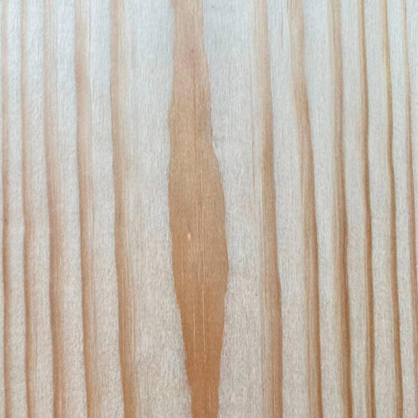 Pino Radiata de Chile