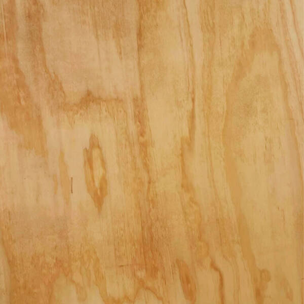 Triplex importado de pino radiata de Chile